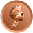 DVO logo