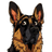HUND logo
