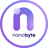 NBT logo