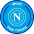 NAP logo