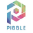 PIB logo