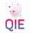QIE logo