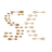 SCT logo