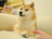 DOGNFT logo